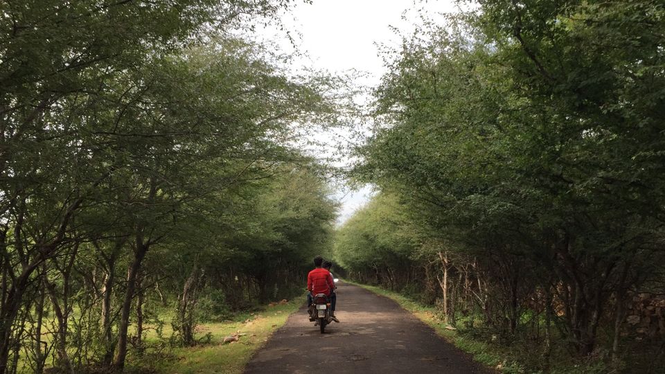 Photo of Rajasthan आओ तुम्हे ले चलते है राजस्थान के एक छोटे से जिले बूंदी मैं नाम तो सुना ही होगा ! by vikas dadwadia