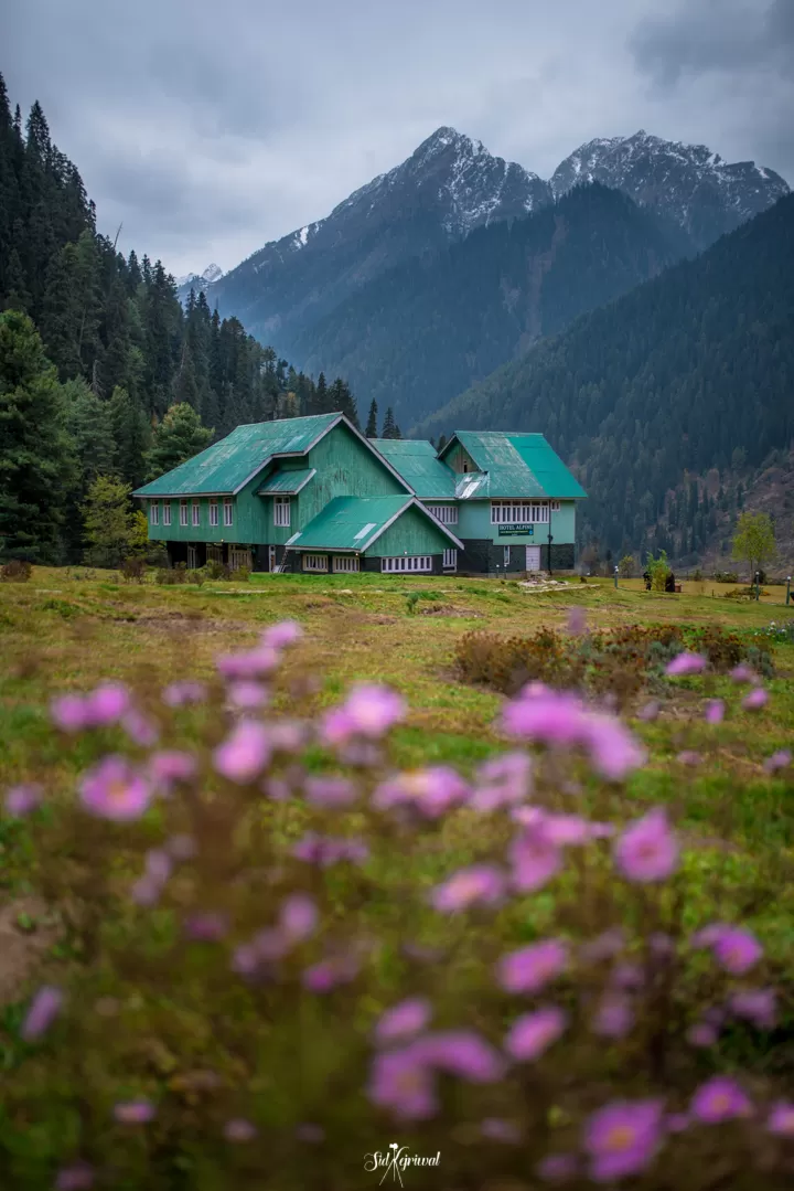 Photo of Aru Valley, Pahalgam by Siddharth Kejriwal 