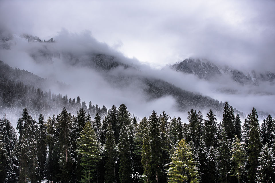 Photo of Pahalgam by Siddharth Kejriwal