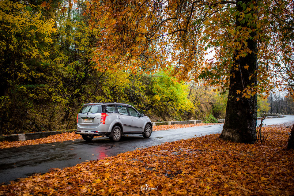 Photo of Experience the never seen before Indian Autumn in Kashmir. #bestof2018 by Siddharth Kejriwal