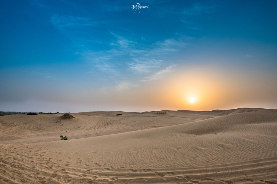 Photo of What they don't tell you about deserts #desertsafari by Siddharth Kejriwal