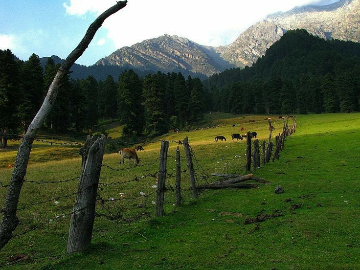 Photo of # (8)AMAZING PLACES TO VISIT IN JAMMU AND KASHMIR AND HOW TO REACH by ππ¦π±π¦π« ππ²πͺππ― ππ―ππ§ππππ±π¦