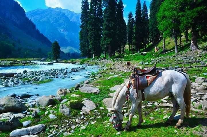 Photo of # (8)AMAZING PLACES TO VISIT IN JAMMU AND KASHMIR AND HOW TO REACH by ππ¦π±π¦π« ππ²πͺππ― ππ―ππ§ππππ±π¦
