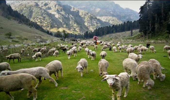 Photo of # (8)AMAZING PLACES TO VISIT IN JAMMU AND KASHMIR AND HOW TO REACH by ππ¦π±π¦π« ππ²πͺππ― ππ―ππ§ππππ±π¦