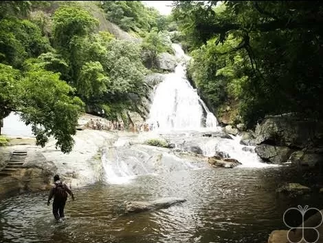 Photo of Vaidehi Falls Road by 𝔑𝔦𝔱𝔦𝔫 𝔎𝔲𝔪𝔞𝔯 𝔓𝔯𝔞𝔧𝔞𝔭𝔞𝔱𝔦