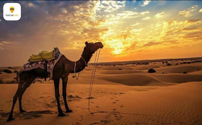 Photo of Jaisalmer by 𝔑𝔦𝔱𝔦𝔫 𝔎𝔲𝔪𝔞𝔯 𝔓𝔯𝔞𝔧𝔞𝔭𝔞𝔱𝔦