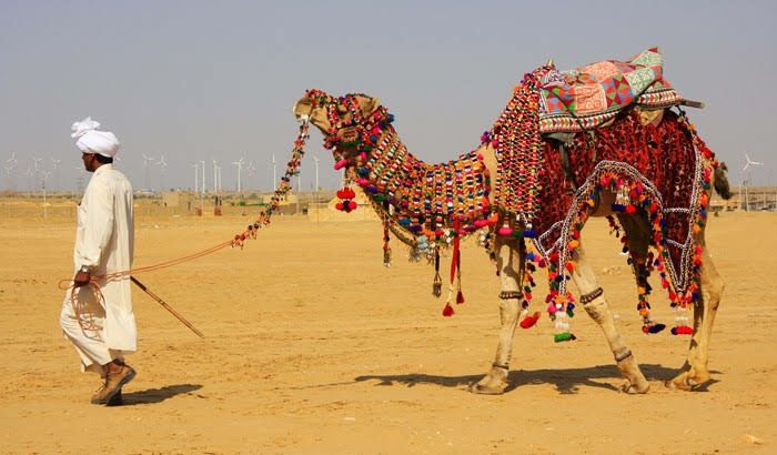 Photo of Jaisalmer by 𝔑𝔦𝔱𝔦𝔫 𝔎𝔲𝔪𝔞𝔯 𝔓𝔯𝔞𝔧𝔞𝔭𝔞𝔱𝔦