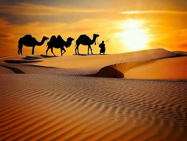 Photo of Desert Safari in Jaisalmer by 𝔑𝔦𝔱𝔦𝔫 𝔎𝔲𝔪𝔞𝔯 𝔓𝔯𝔞𝔧𝔞𝔭𝔞𝔱𝔦