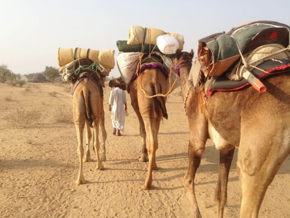 Photo of Desert Safari in Jaisalmer by 𝔑𝔦𝔱𝔦𝔫 𝔎𝔲𝔪𝔞𝔯 𝔓𝔯𝔞𝔧𝔞𝔭𝔞𝔱𝔦