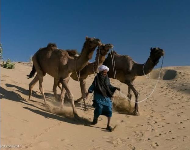 Photo of Desert Safari in Jaisalmer by 𝔑𝔦𝔱𝔦𝔫 𝔎𝔲𝔪𝔞𝔯 𝔓𝔯𝔞𝔧𝔞𝔭𝔞𝔱𝔦