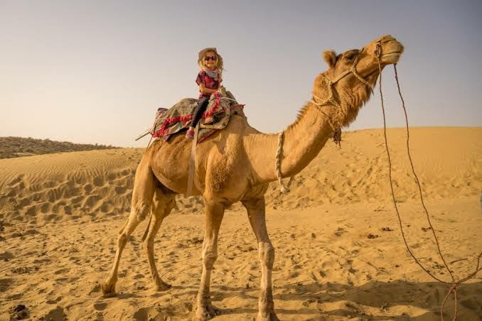 Photo of Jaisalmer: "The Golden City"....Must Visit Places in Jaisalmer.... by 𝔑𝔦𝔱𝔦𝔫 𝔎𝔲𝔪𝔞𝔯 𝔓𝔯𝔞𝔧𝔞𝔭𝔞𝔱𝔦