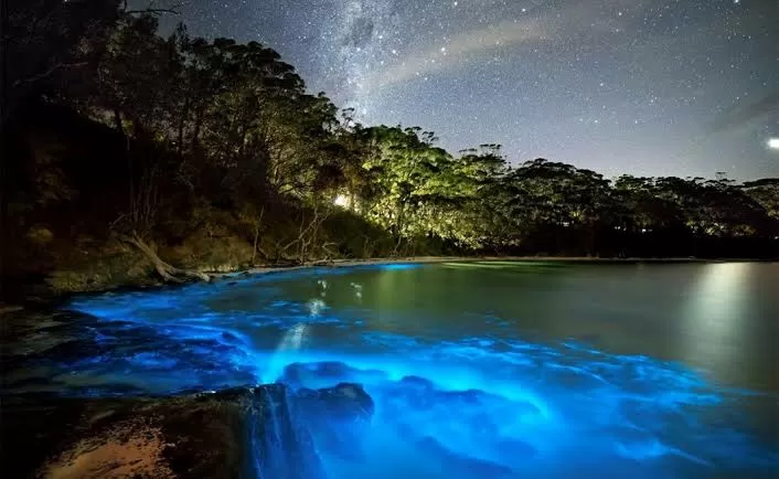 Photo of Vaadhoo by 𝔑𝔦𝔱𝔦𝔫 𝔎𝔲𝔪𝔞𝔯 𝔓𝔯𝔞𝔧𝔞𝔭𝔞𝔱𝔦