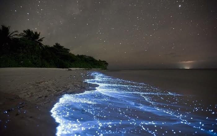 Photo of Vaadhoo Island,Maldives..Activities on Vaadhoo Island..The Glowing Beach Phenomenon..How To Reach by ππ¦π±π¦π« ππ²πͺππ― ππ―ππ§ππππ±π¦