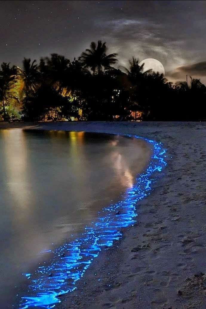 Photo of Vaadhoo Island,Maldives..Activities on Vaadhoo Island..The Glowing Beach Phenomenon..How To Reach by ππ¦π±π¦π« ππ²πͺππ― ππ―ππ§ππππ±π¦