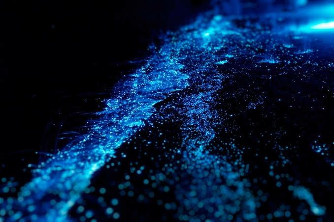 Photo of Vaadhoo Island,Maldives..Activities on Vaadhoo Island..The Glowing Beach Phenomenon..How To Reach by ππ¦π±π¦π« ππ²πͺππ― ππ―ππ§ππππ±π¦