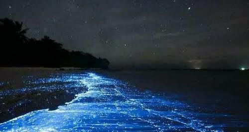 Photo of Vaadhoo Island,Maldives..Activities on Vaadhoo Island..The Glowing Beach Phenomenon..How To Reach by ππ¦π±π¦π« ππ²πͺππ― ππ―ππ§ππππ±π¦