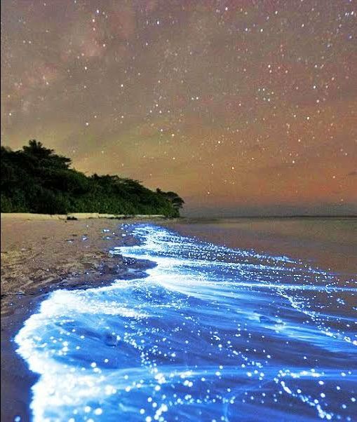 Photo of Vaadhoo Island,Maldives..Activities on Vaadhoo Island..The Glowing Beach Phenomenon..How To Reach by ππ¦π±π¦π« ππ²πͺππ― ππ―ππ§ππππ±π¦