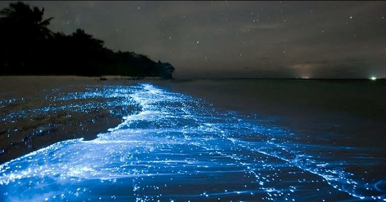 Photo of Vaadhoo Island,Maldives..Activities on Vaadhoo Island..The Glowing Beach Phenomenon..How To Reach by ππ¦π±π¦π« ππ²πͺππ― ππ―ππ§ππππ±π¦
