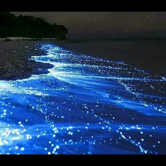 Photo of Vaadhoo Island,Maldives..Activities on Vaadhoo Island..The Glowing Beach Phenomenon..How To Reach by ππ¦π±π¦π« ππ²πͺππ― ππ―ππ§ππππ±π¦