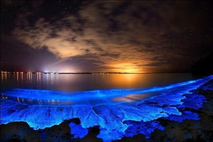 Photo of Vaadhoo Island,Maldives..Activities on Vaadhoo Island..The Glowing Beach Phenomenon..How To Reach by ππ¦π±π¦π« ππ²πͺππ― ππ―ππ§ππππ±π¦