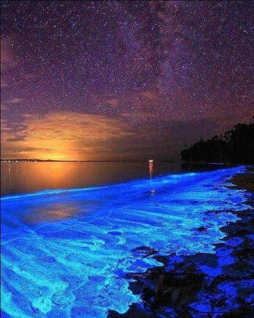 Photo of Vaadhoo Island,Maldives..Activities on Vaadhoo Island..The Glowing Beach Phenomenon..How To Reach by ππ¦π±π¦π« ππ²πͺππ― ππ―ππ§ππππ±π¦