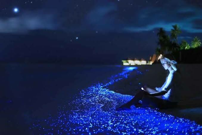 Photo of Vaadhoo Island,Maldives..Activities on Vaadhoo Island..The Glowing Beach Phenomenon..How To Reach by ππ¦π±π¦π« ππ²πͺππ― ππ―ππ§ππππ±π¦