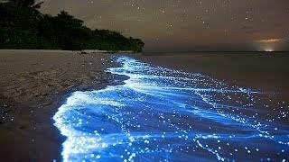 Photo of Vaadhoo Island,Maldives..Activities on Vaadhoo Island..The Glowing Beach Phenomenon..How To Reach by ππ¦π±π¦π« ππ²πͺππ― ππ―ππ§ππππ±π¦