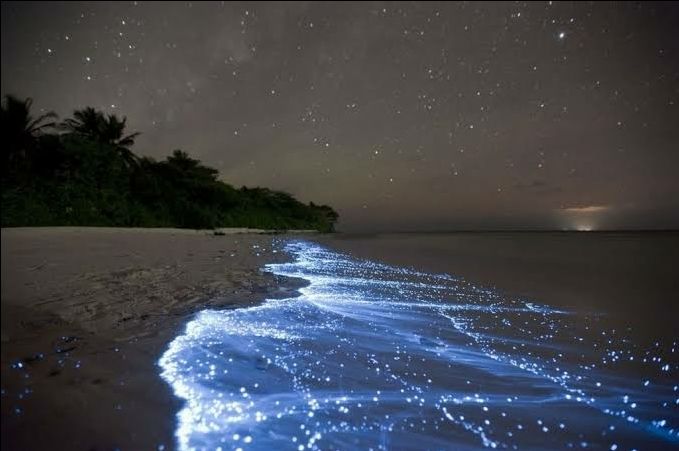 Photo of Vaadhoo Island,Maldives..Activities on Vaadhoo Island..The Glowing Beach Phenomenon..How To Reach by ππ¦π±π¦π« ππ²πͺππ― ππ―ππ§ππππ±π¦