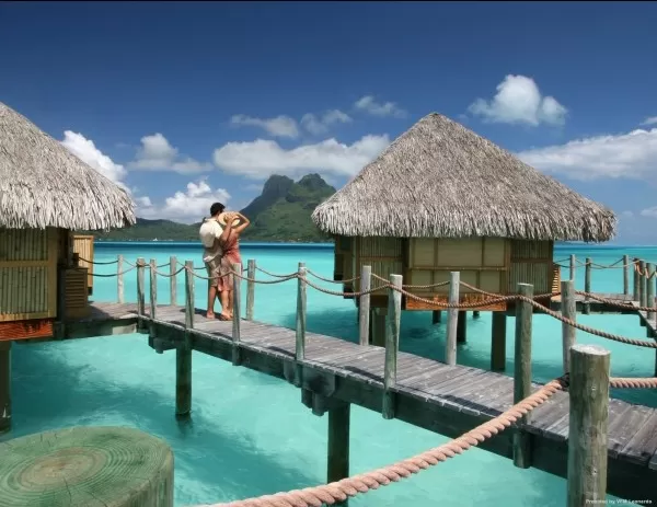 Photo of French Polynesia by 𝔑𝔦𝔱𝔦𝔫 𝔎𝔲𝔪𝔞𝔯 𝔓𝔯𝔞𝔧𝔞𝔭𝔞𝔱𝔦
