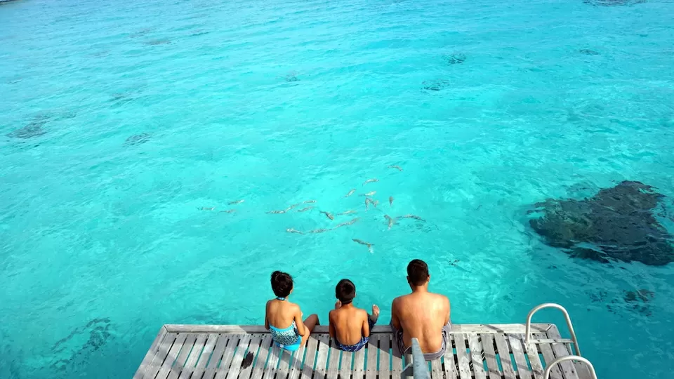 Photo of French Polynesia by 𝔑𝔦𝔱𝔦𝔫 𝔎𝔲𝔪𝔞𝔯 𝔓𝔯𝔞𝔧𝔞𝔭𝔞𝔱𝔦