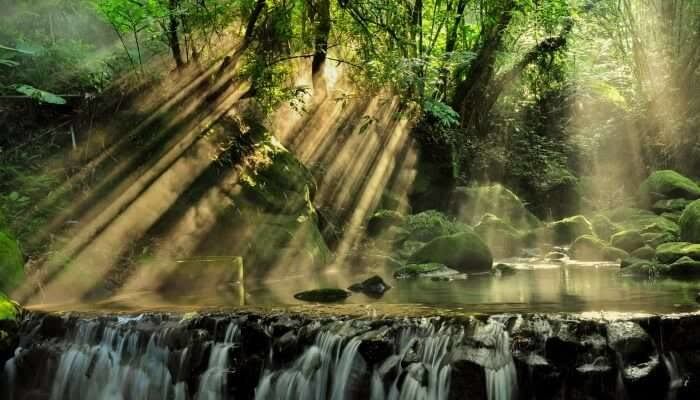 Photo of # TOP (5) ISLAND IN ANDAMAN AND NICOBAR by 𝔑𝔦𝔱𝔦𝔫 𝔎𝔲𝔪𝔞𝔯 𝔓𝔯𝔞𝔧𝔞𝔭𝔞𝔱𝔦