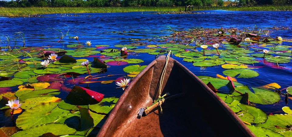 Photo of Explore one of the world’s largest inland deltas by Zitin M