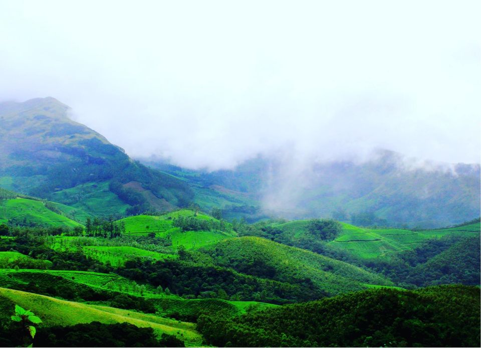 Photo of Kerala - All about nature by Priyanka Namdeo