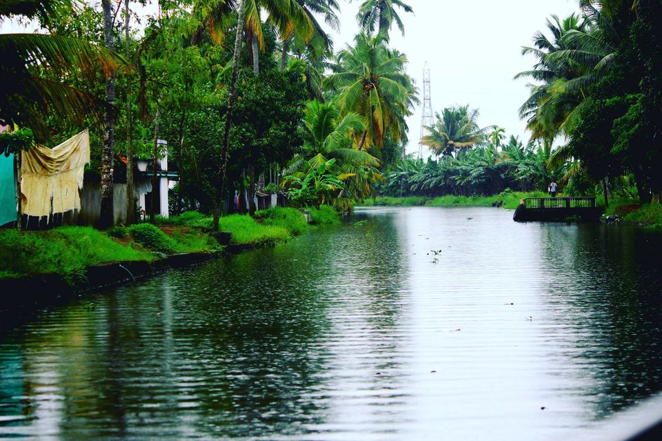 Photo of Kerala - All about nature by Priyanka Namdeo