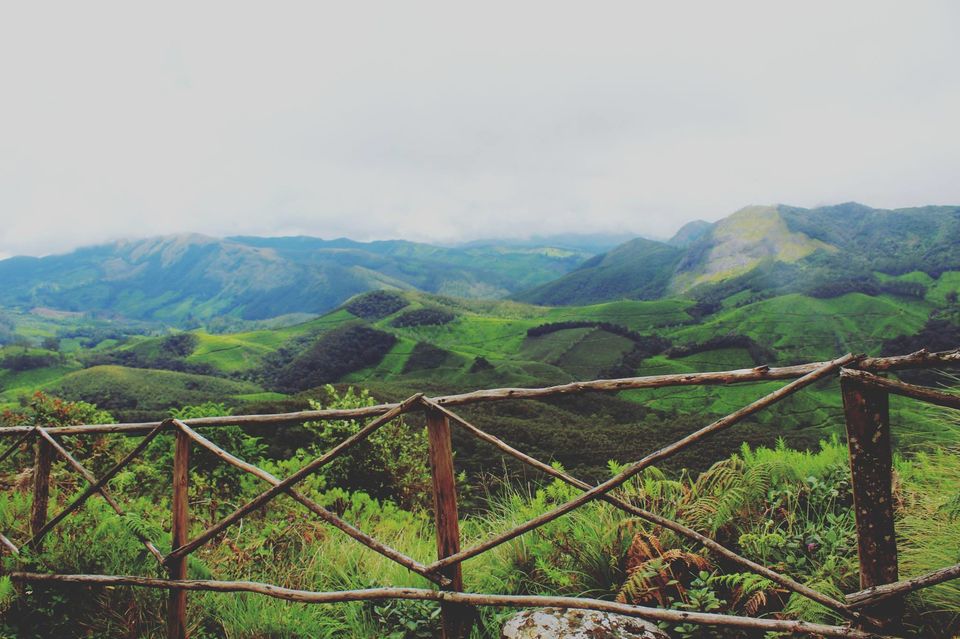 Photo of Kerala - All about nature by Priyanka Namdeo