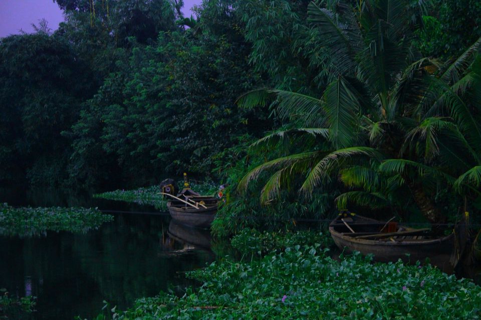 Photo of Kerala - All about nature by Priyanka Namdeo