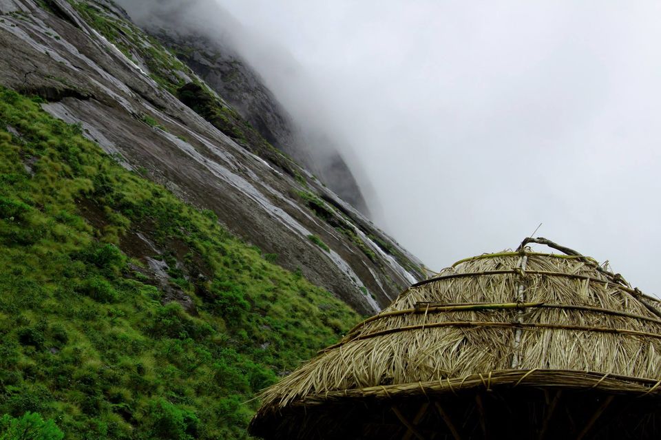 Photo of Kerala - All about nature by Priyanka Namdeo