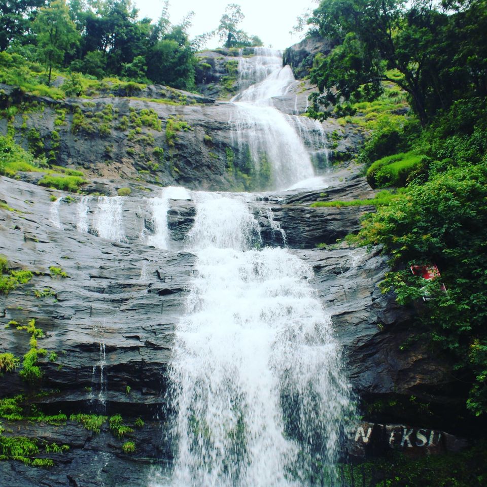 Photo of Kerala - All about nature by Priyanka Namdeo