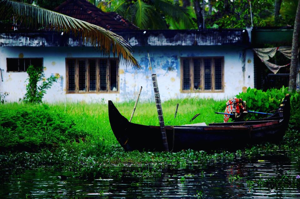 Photo of Kerala - All about nature by Priyanka Namdeo