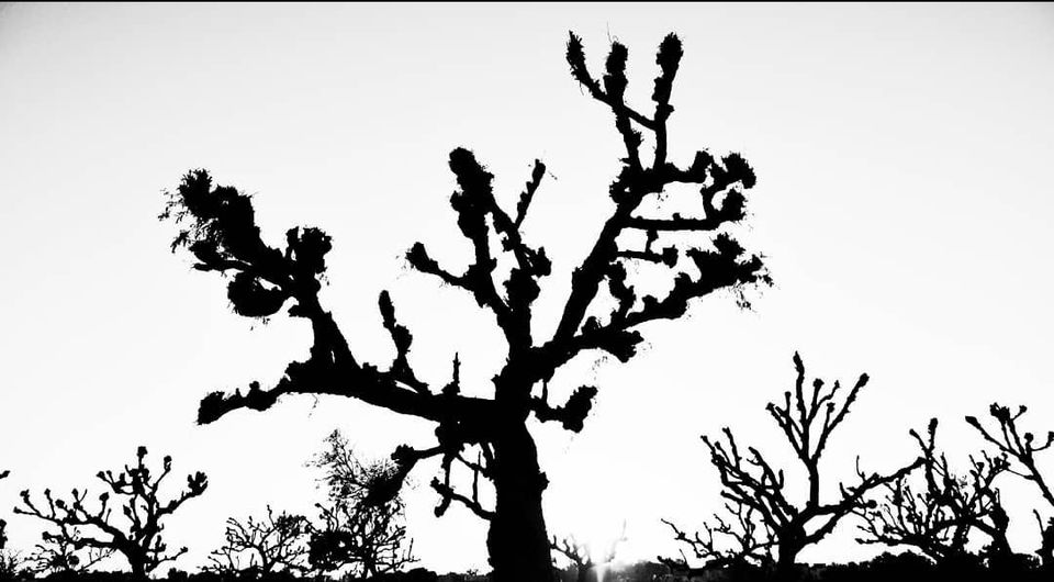 Photo of Real Rajasthan by DARSHIL TAILOR