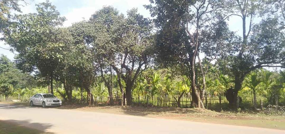 Photo of Sangli= Humcha = Shringeri = Hornadu=Sangli by Devendra Khot