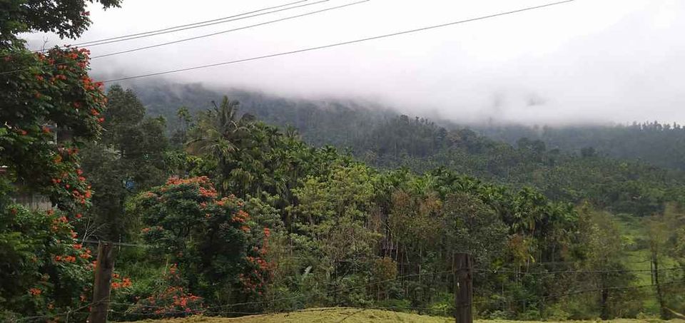 Photo of Sangli= Humcha = Shringeri = Hornadu=Sangli by Devendra Khot