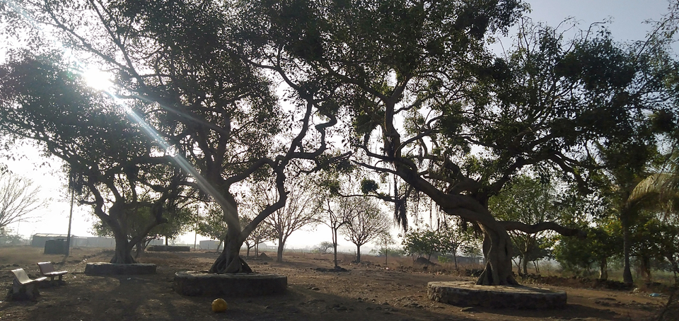 Photo of Sangli cycling Part 7. Sangli=Danoli=Kothli 8/8 by Devendra Khot
