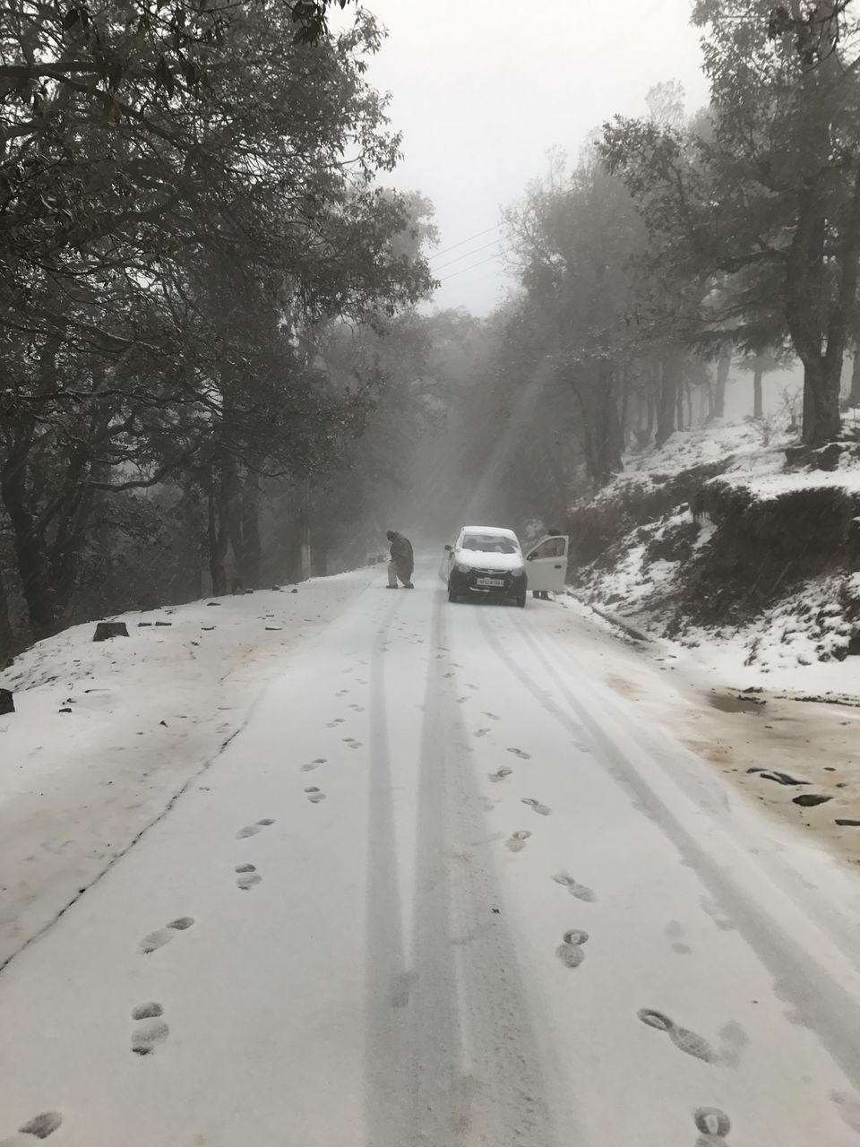 Photo of Sadhupul, Himachal Pradesh, India by Misha Jain