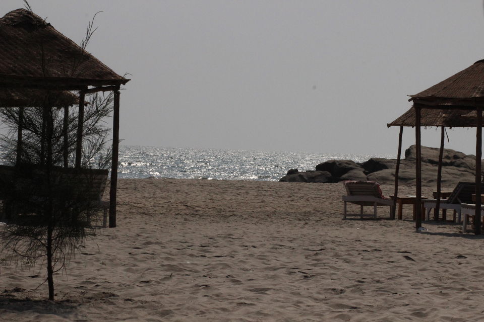 Photo of Sea Bird Beach Cafe, Gawde wada, Morjim, Goa, India by Misha