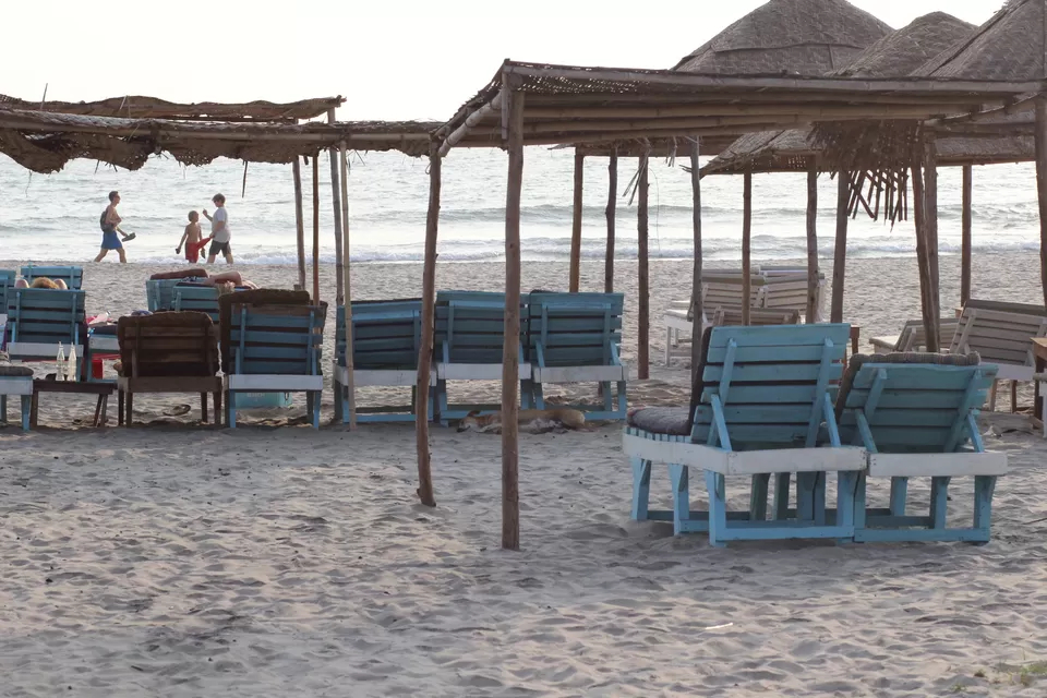 Photo of Sea Bird Beach Cafe, Gawde wada, Morjim, Goa, India by Misha