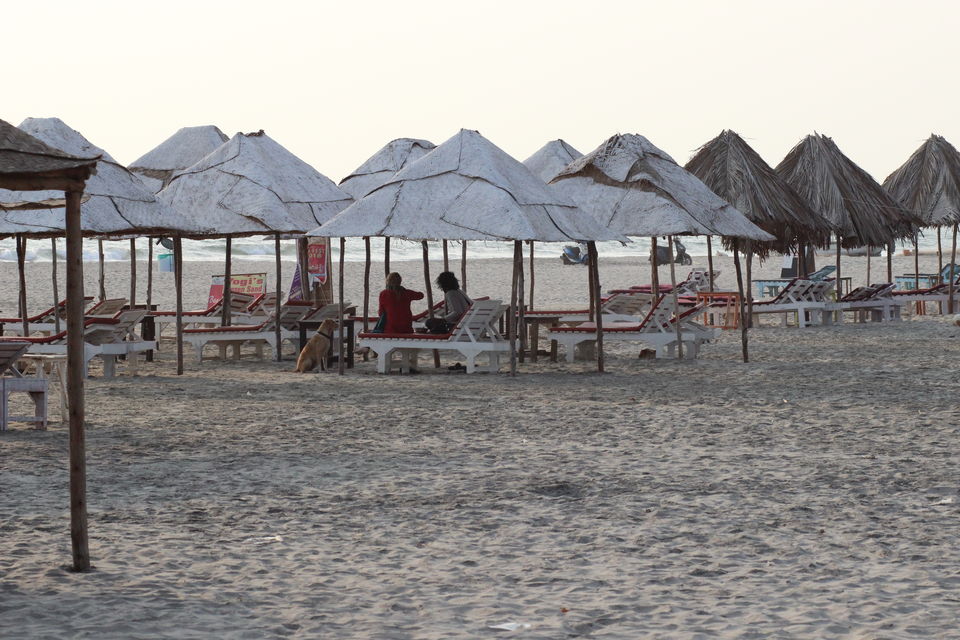 Photo of Sea Bird Beach Cafe, Gawde wada, Morjim, Goa, India by Misha