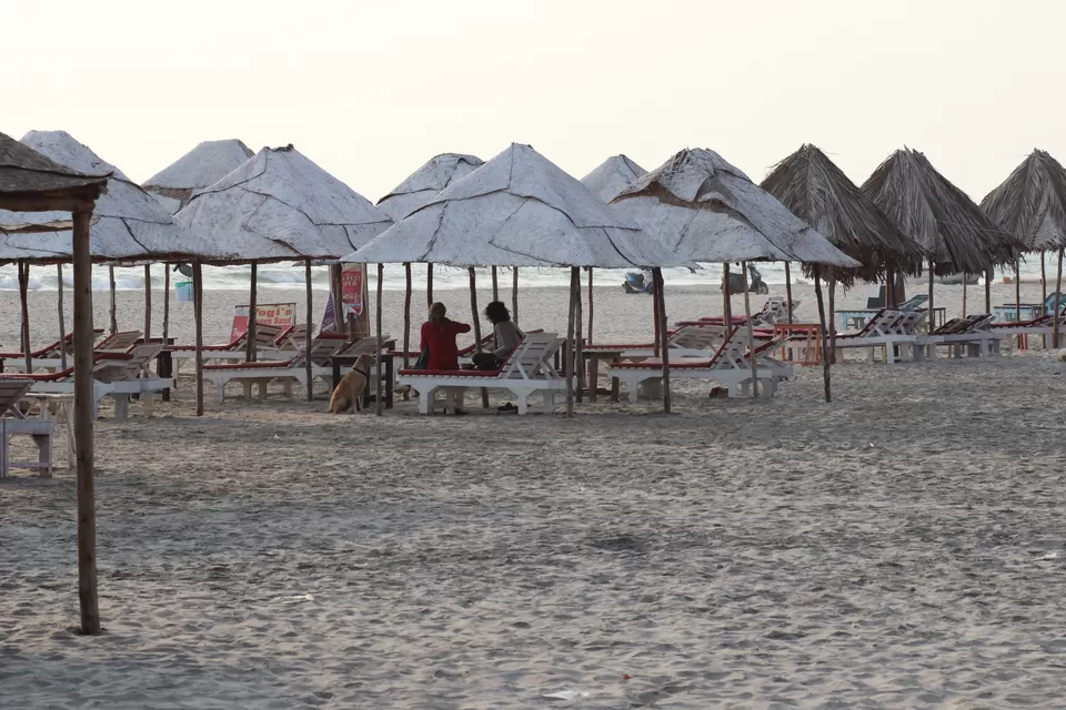 Photo of Sea Bird Beach Cafe, Gawde wada, Morjim, Goa, India by Misha