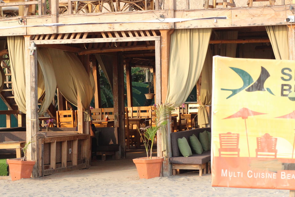 Photo of Morjim Beach(Goa) - An epitome of serenity by Misha
