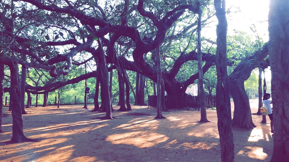 Photo of Auroville - The City of Dawn by Misha